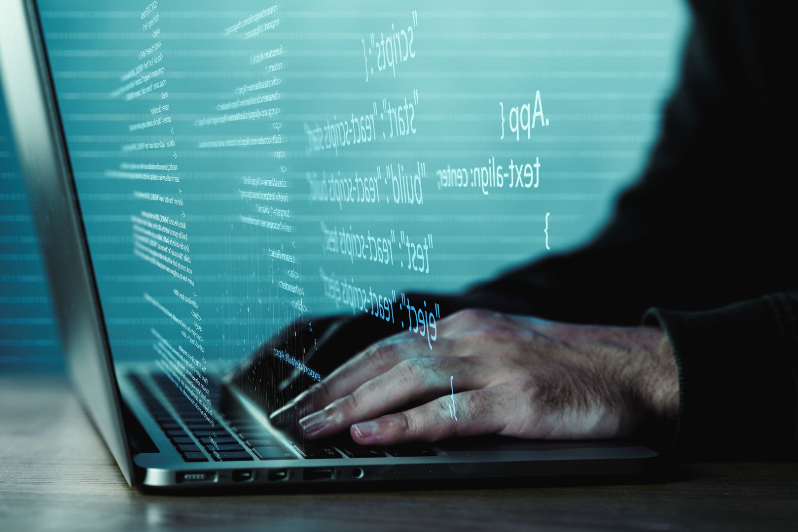 programmatore informatico realizza software debug test